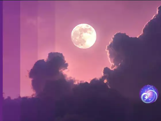 Akashic Records: The Seven Steps to Expanding Love
