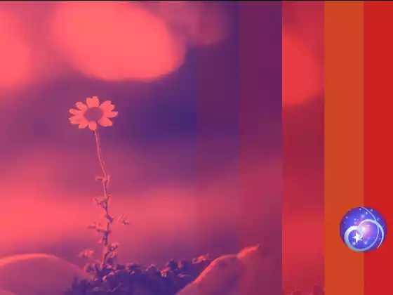 Prosperity, Abundance and Money: Akashic Approach to Your Success